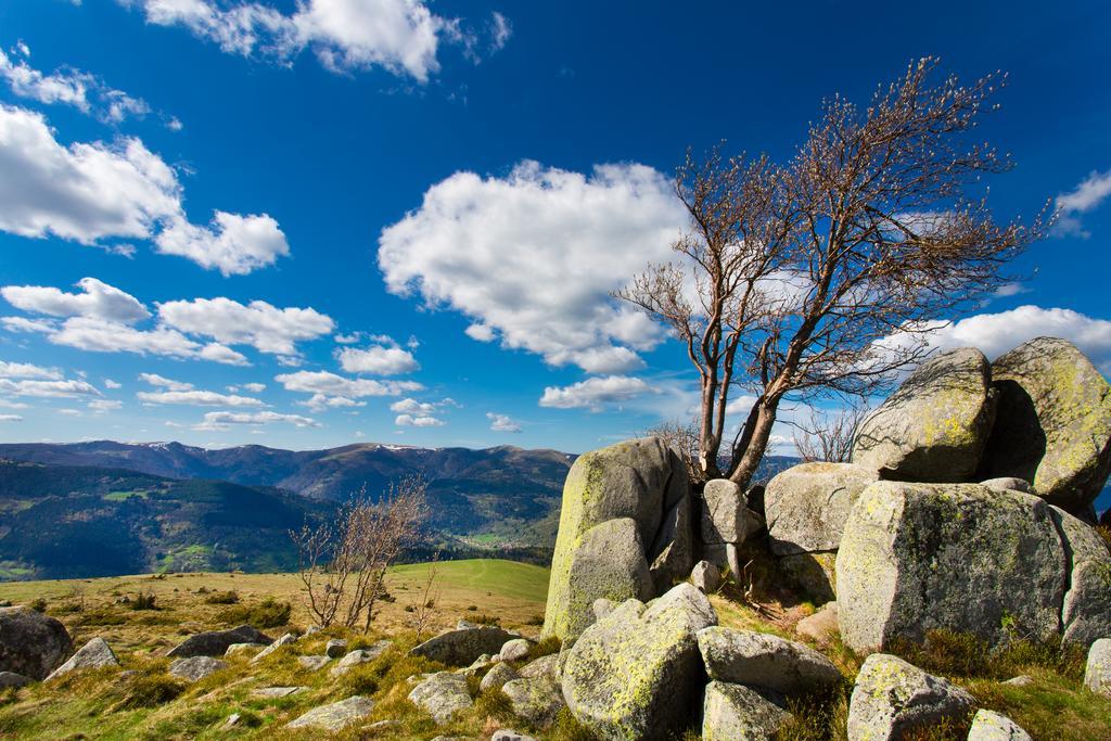 Gite Chez Mimie Breitenbach-Haut-Rhin Bagian luar foto