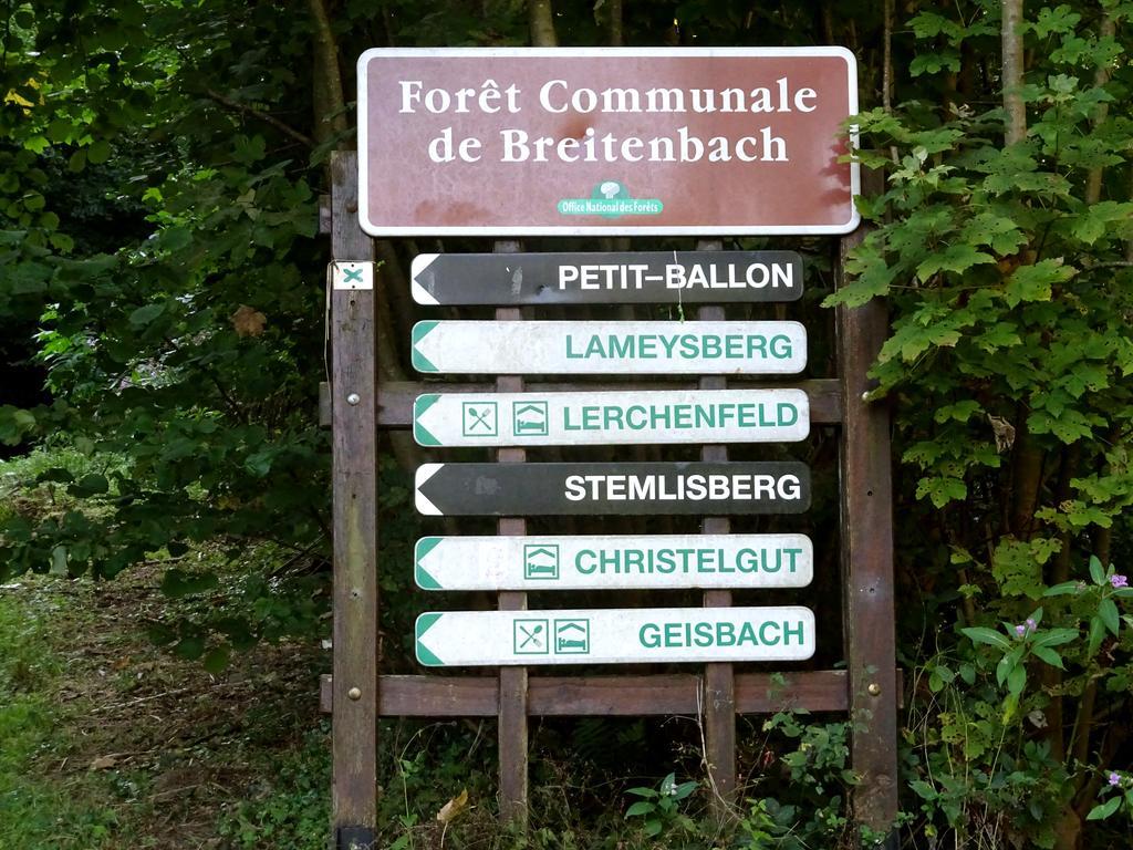 Gite Chez Mimie Breitenbach-Haut-Rhin Bagian luar foto