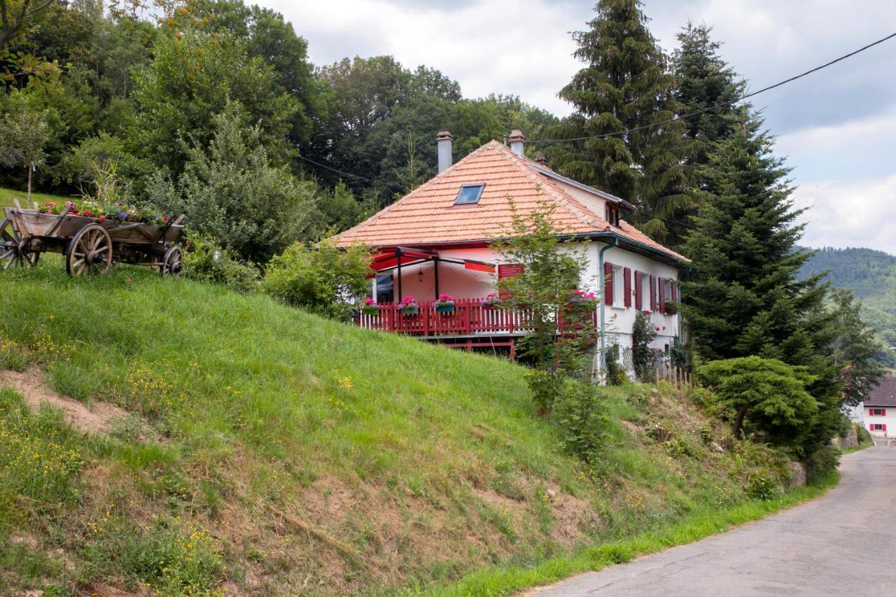 Gite Chez Mimie Breitenbach-Haut-Rhin Bagian luar foto