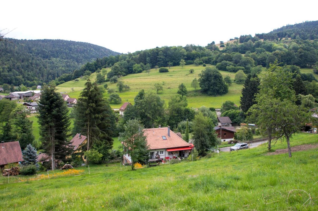 Gite Chez Mimie Breitenbach-Haut-Rhin Bagian luar foto