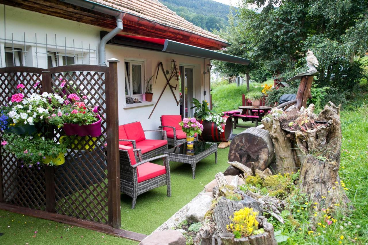 Gite Chez Mimie Breitenbach-Haut-Rhin Bagian luar foto